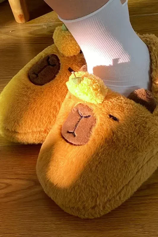 Chaussons Animaux Kawaii Capybara